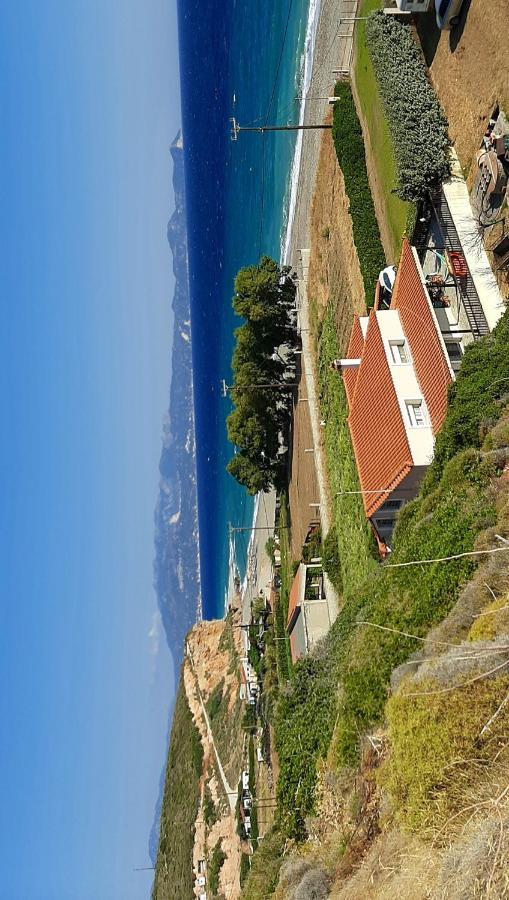 Villa Dimitra Murterí Kültér fotó
