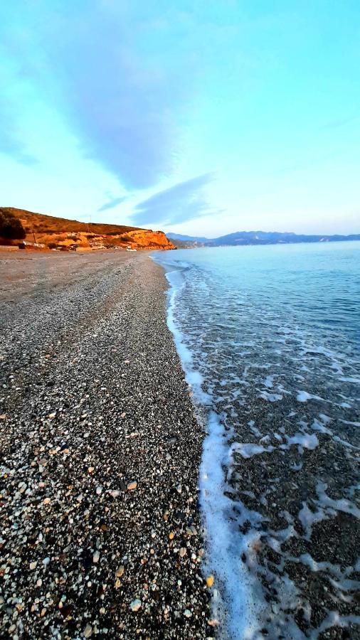 Villa Dimitra Murterí Kültér fotó