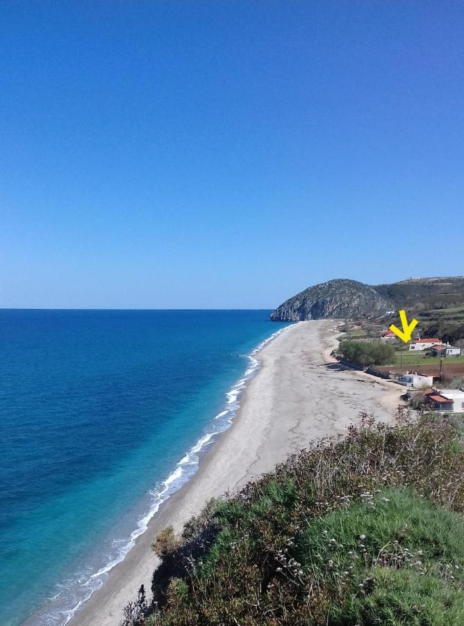 Villa Dimitra Murterí Kültér fotó