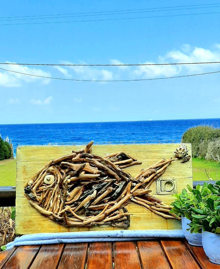 Villa Dimitra Murterí Kültér fotó