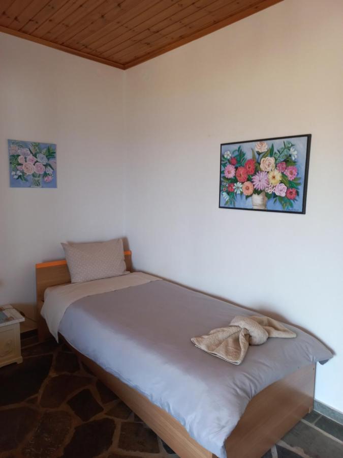 Villa Dimitra Murterí Kültér fotó